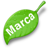 O que é branded content